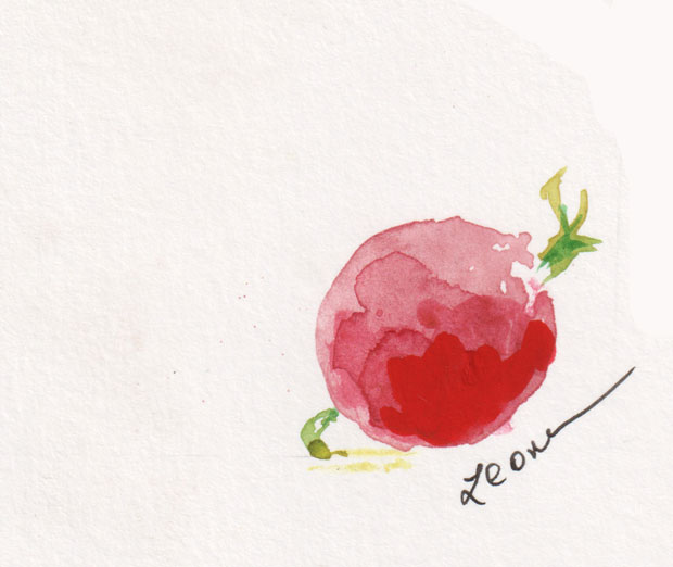 radish, watercolor and gouache
