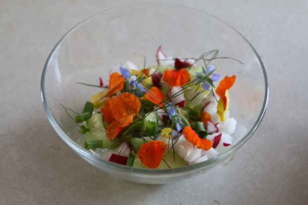 salad with nasturtium, dill, borage, and cucumber