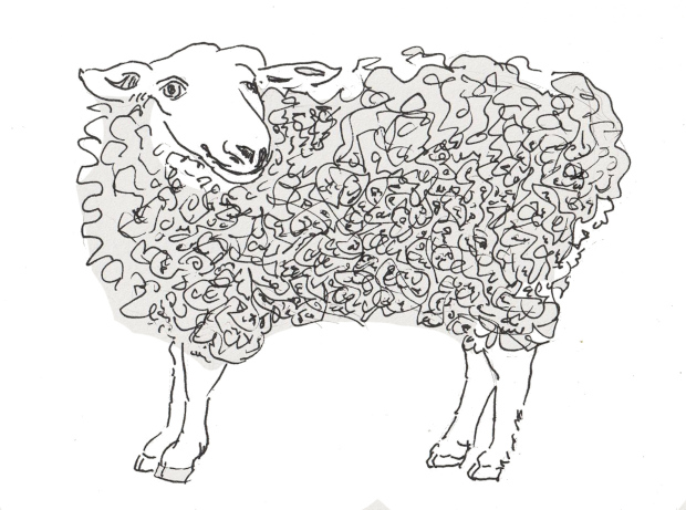 sheep, ink