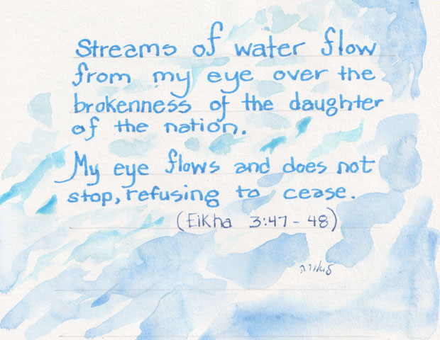 Streams of water flow from my eye over the brokenness of the daughter of the nation. 
My eye flows and does not stop, refusing to cease.
(Eikha 3:47-48)