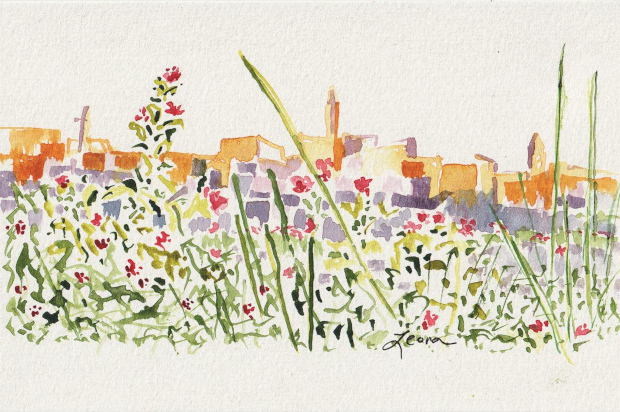Jerusalem Old City walls with red flowers in front, watercolor