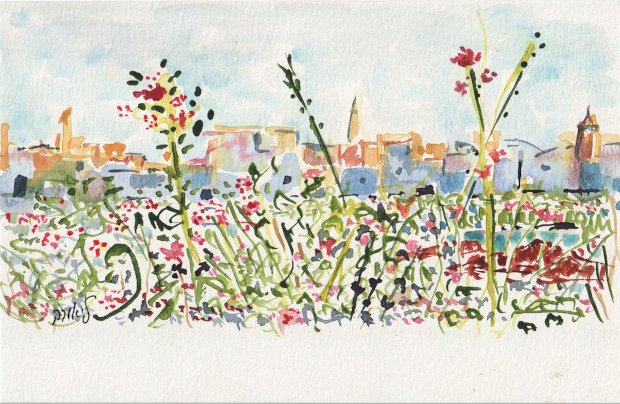 Jerusalem Old City walls with red flowers in front, blue sky, watercolor