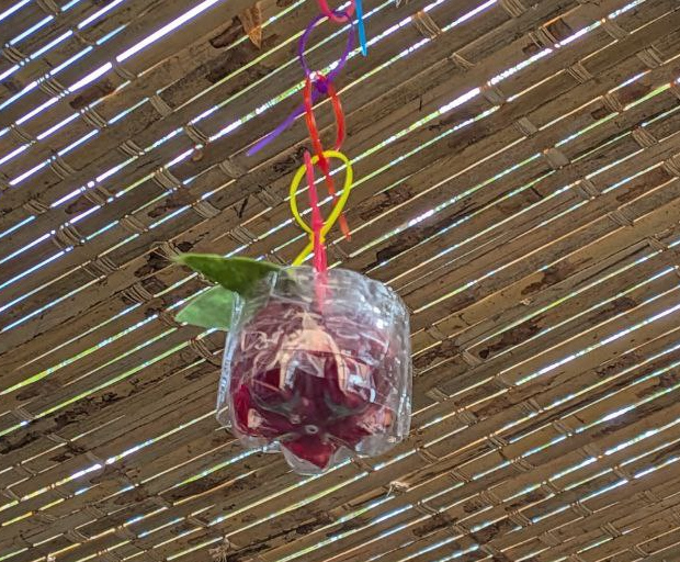 apple made from plastic bottles with red cellophane inside and green leaves sewn on top, hanging with plastic colorful tie loops